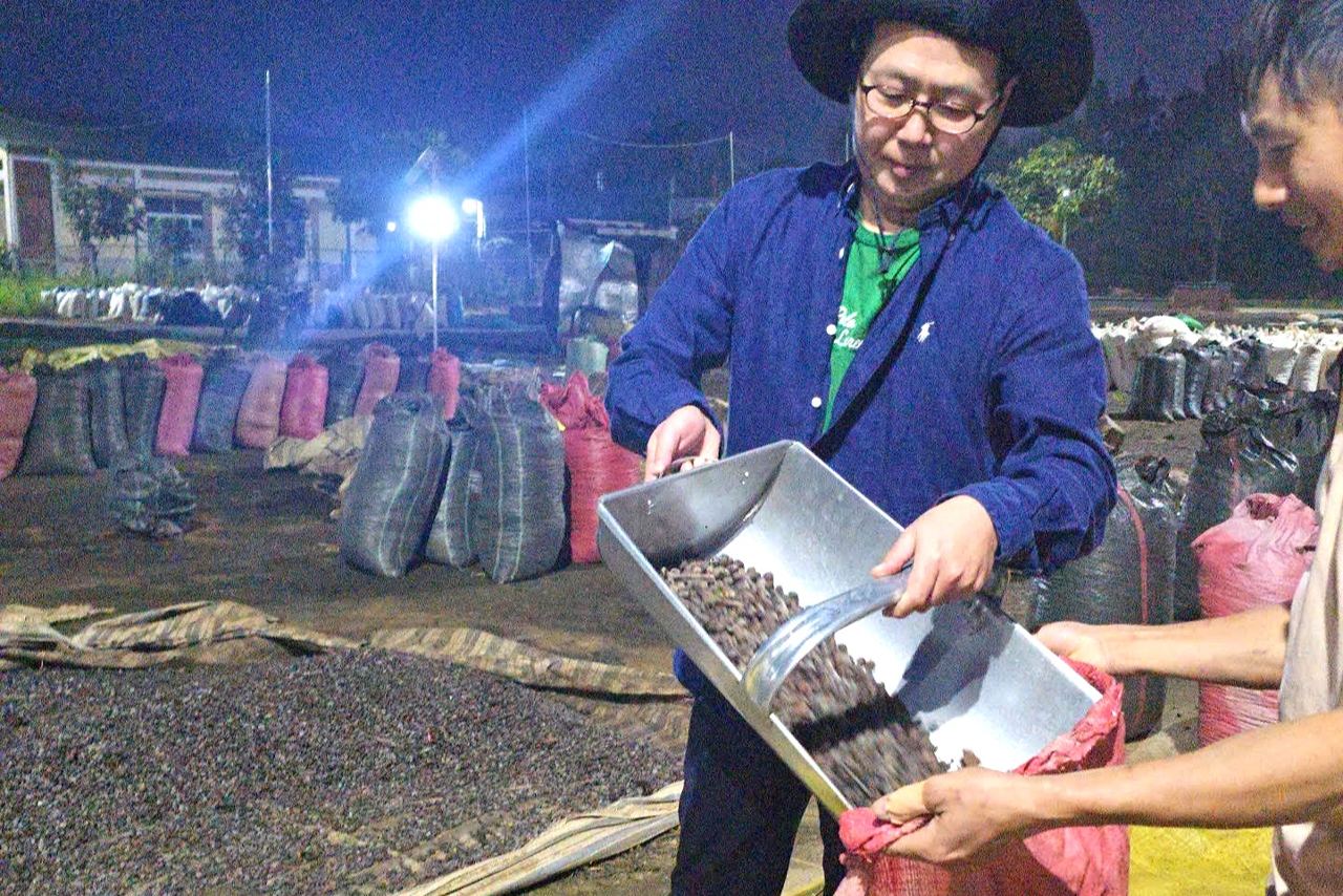 バオロクのコーヒー農園で夜まで続く収穫後の選別作業の様子
