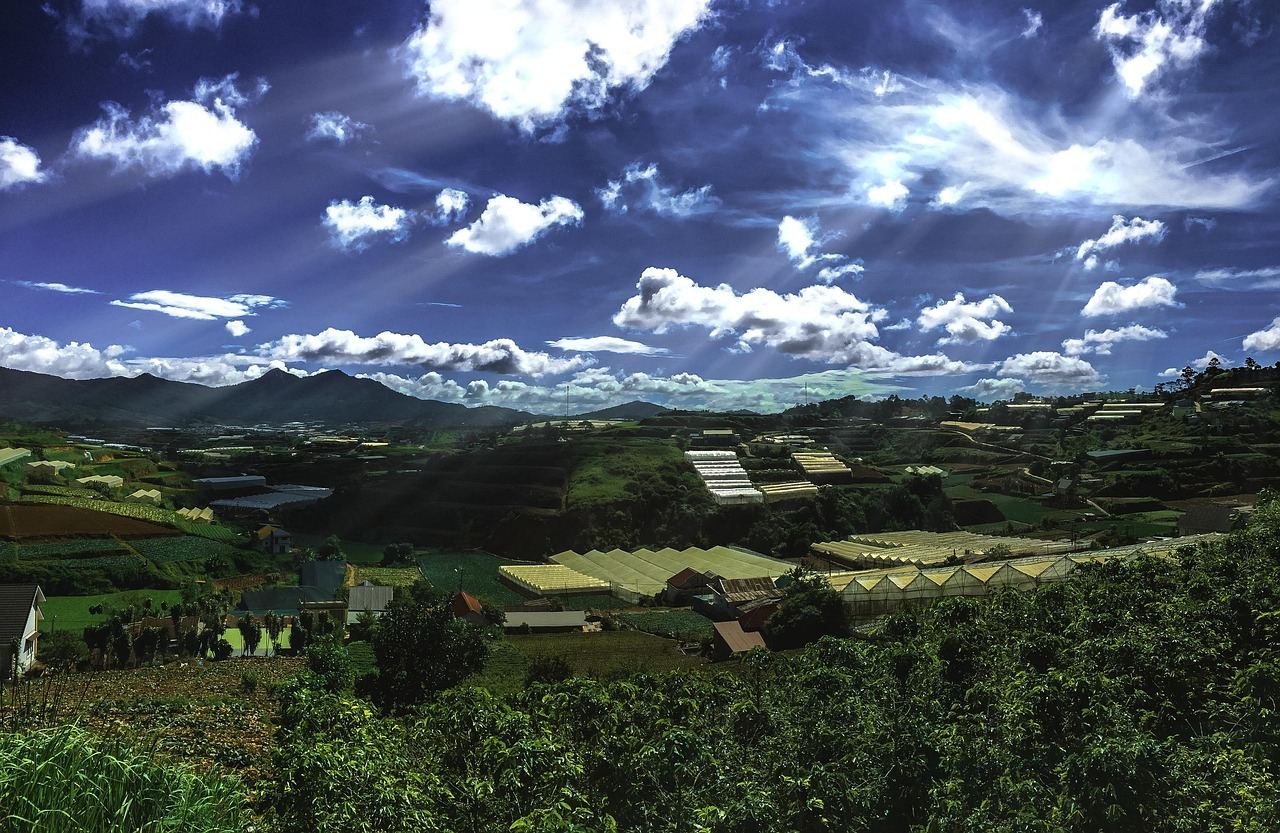 ベトナム中部高原・ダラットの茶畑と山並み